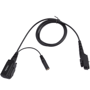 Acn 01