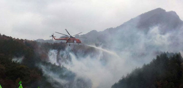 Oil Gas Utilities Forestry Bureau Of Chungcheongbuk Do South Korea Page 1 Image 0001