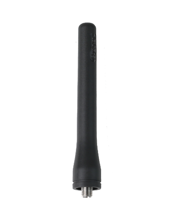 AN0405H11
