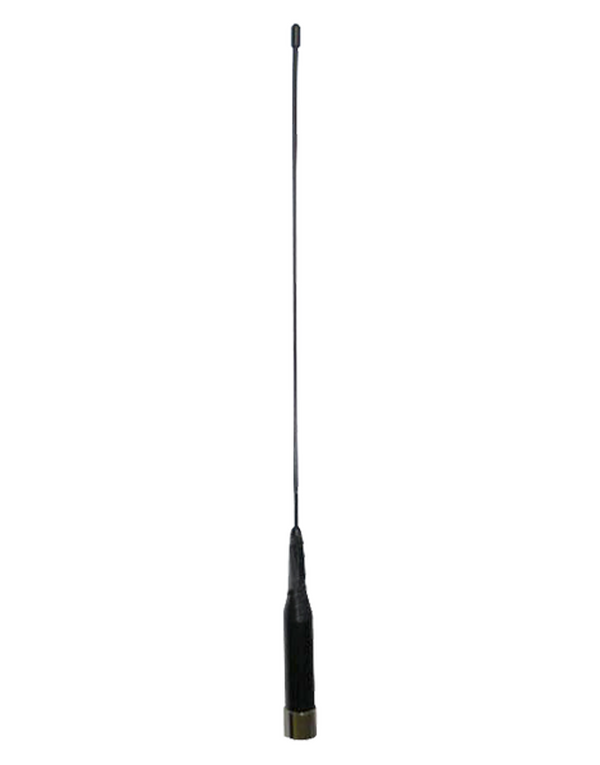 AN0450M02
