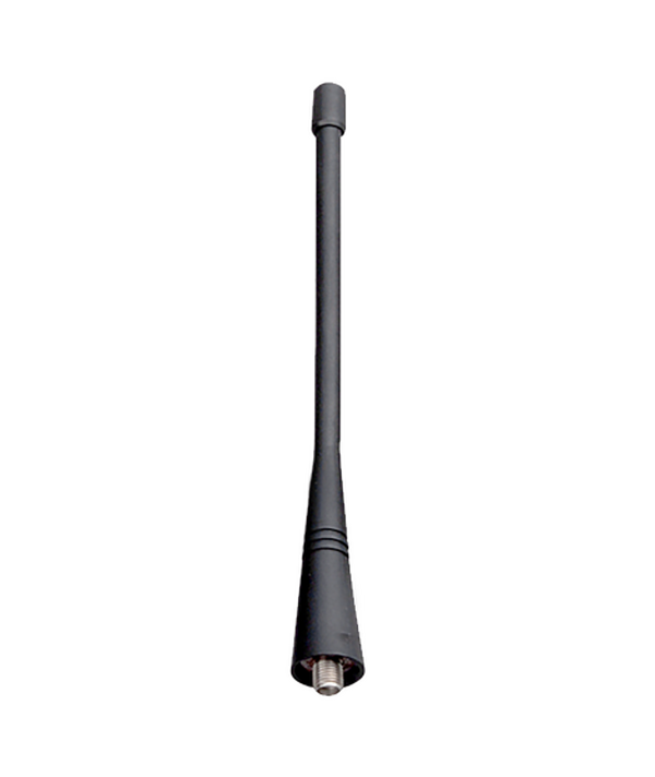 AN0415W08