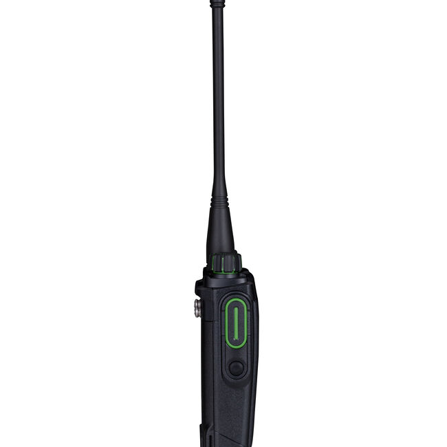 BD505