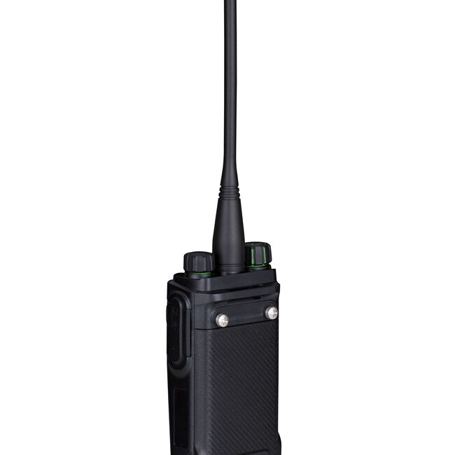 BD505